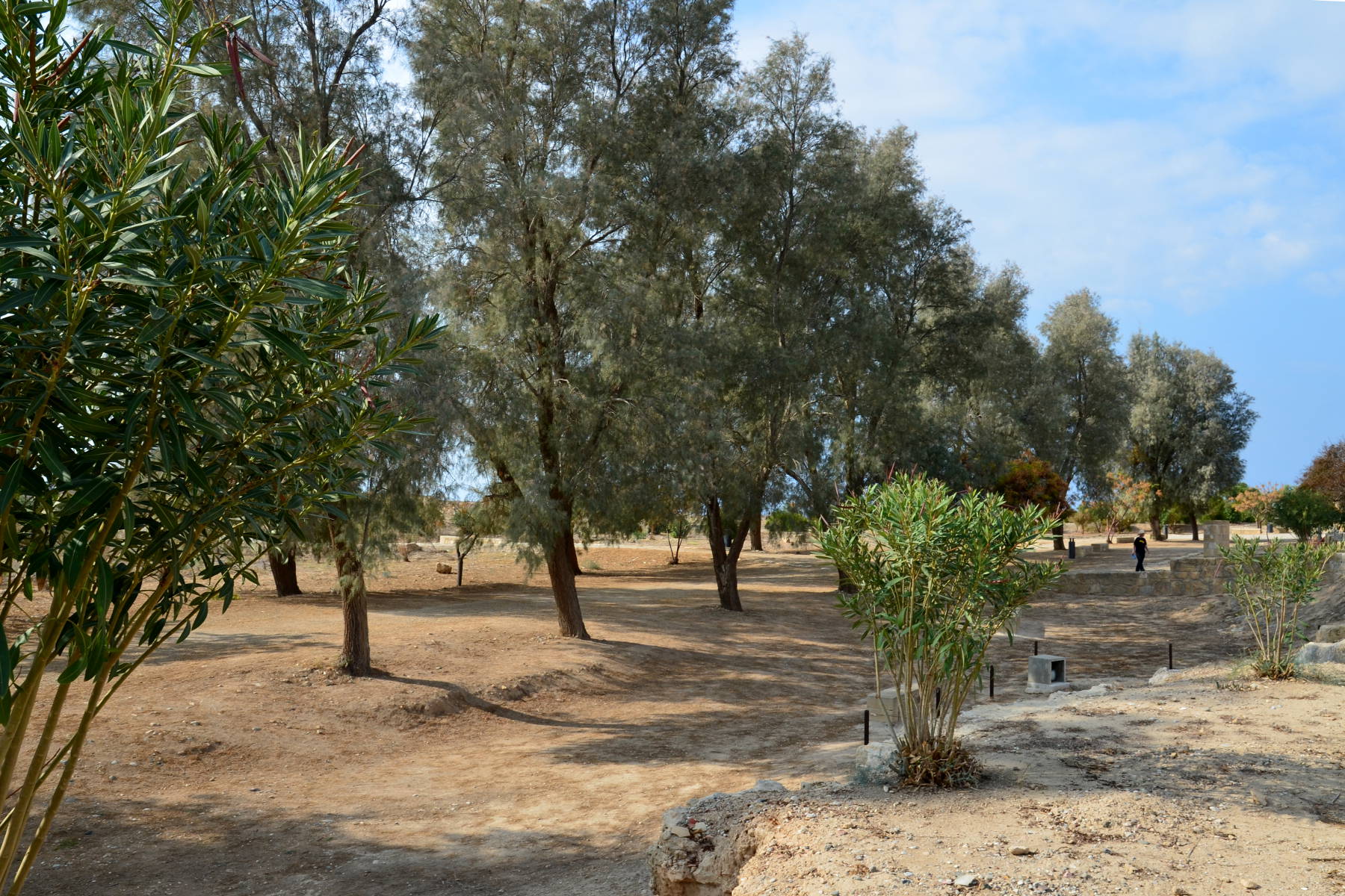 Paphos